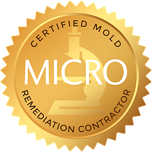 MICRO Certified Mold Remediation Contractor