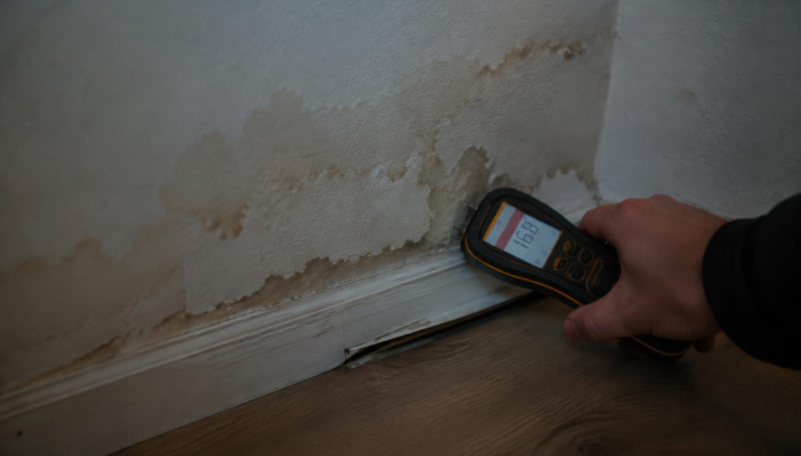 Technician holding a moisture meter against a water-stained wall above a warped baseboard